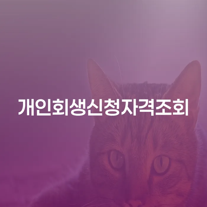 다중채무 개인회생 해결하고 싶다면