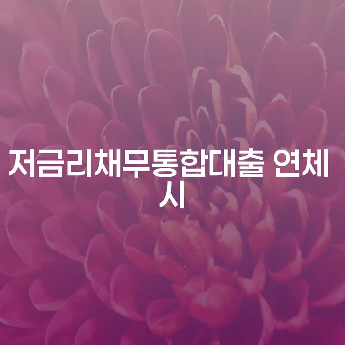 파산변호사 연체 채무 신속해결방법 하여야 하는 일