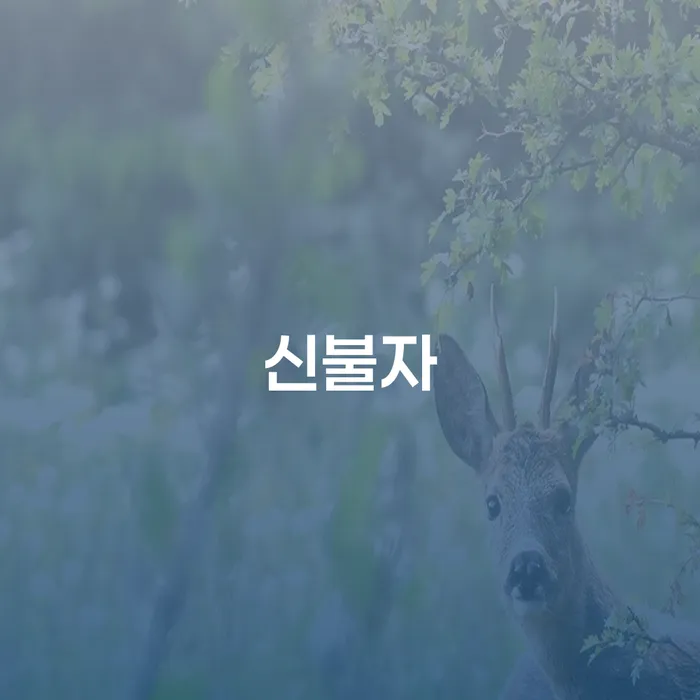 도박채무 빚 해결할 궁금하다면
