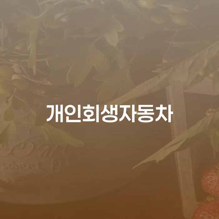 강북구 면책신청 빚 합법적인 빠른방법 추천하는 법무법인