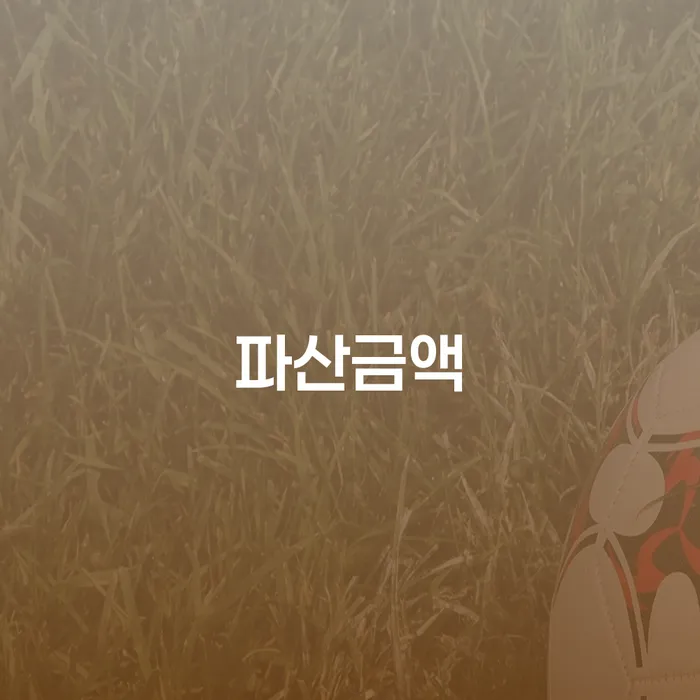 함평군 개인회생필요서류 연체 채무 신속해결방법 유선상담