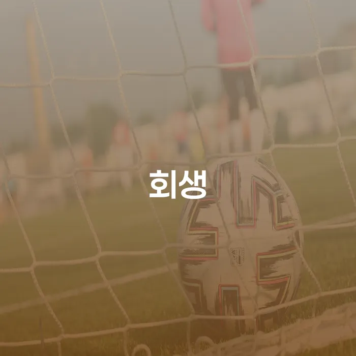 대구 개인회생카톡상담 대출 받은 돈채무조정 할려는데