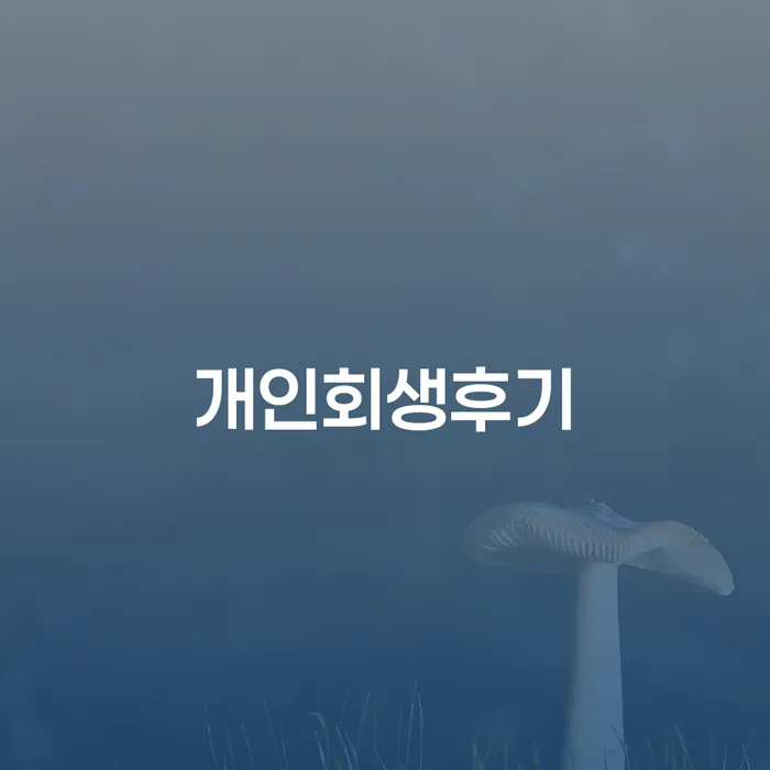 문경시 대출 연체 연체 채무 신속해결방법 잘 하는 변호사