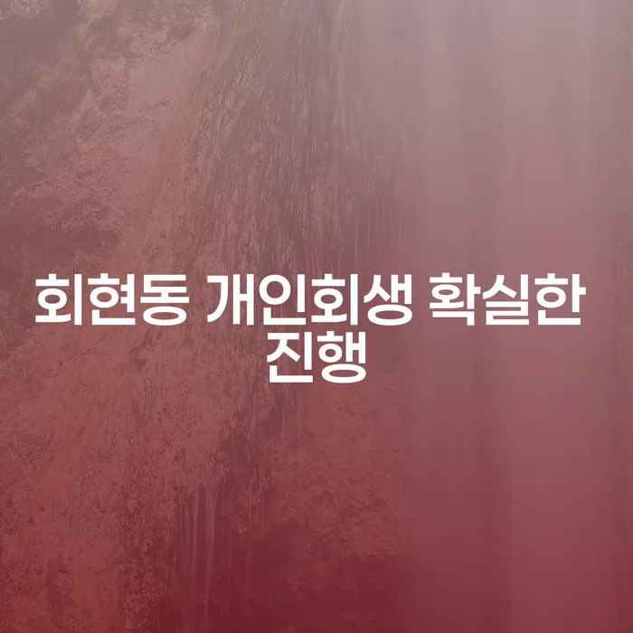 회현동 개인회생 확실한 진행