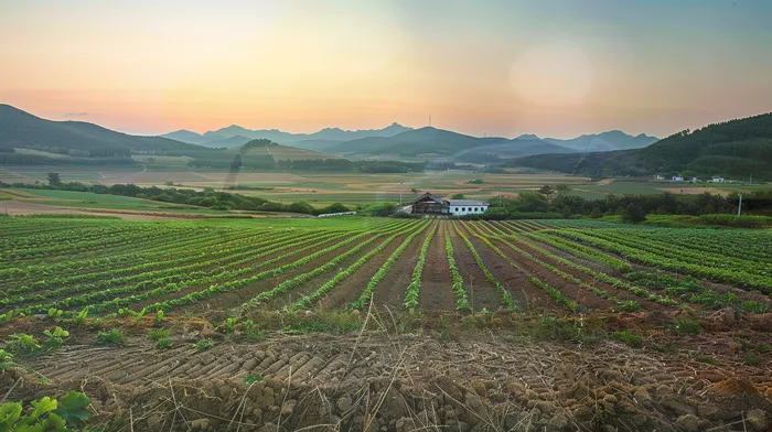 개인회생 실패 대안