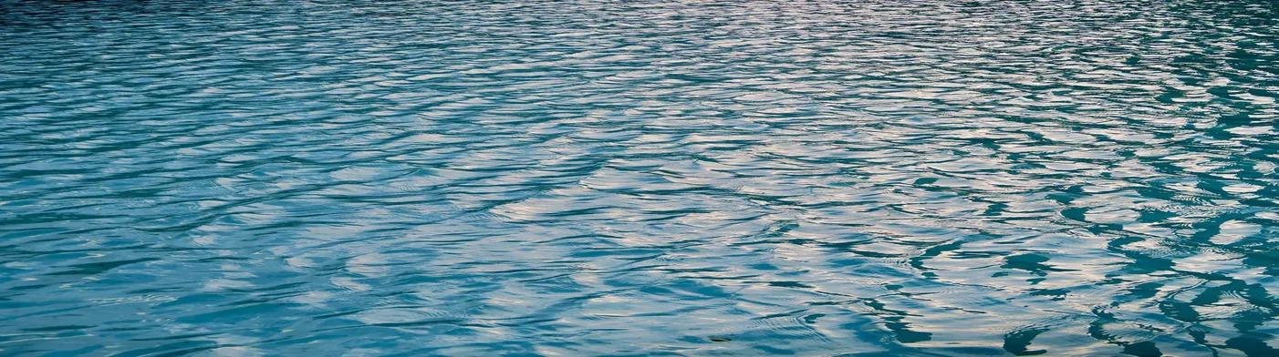 법무법인 서앤율