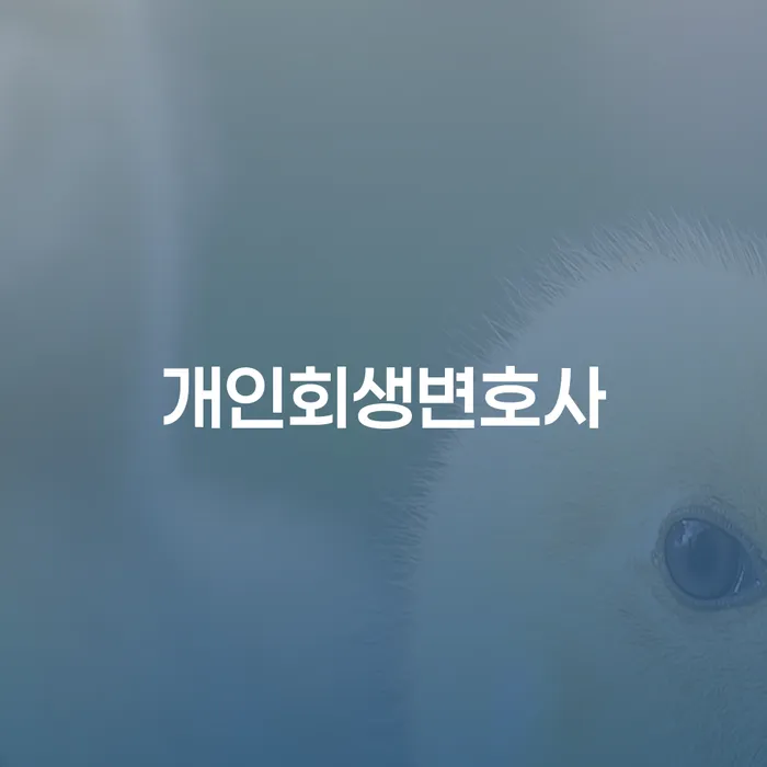 청파동 개인회생변호사 금융 문제 해결 전문가