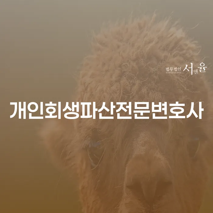 강진군 개인회생파산전문변호사, 채무 해결의 길잡이가 되어드립니다