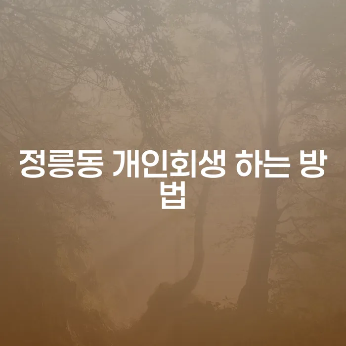 정릉동 개인회생 하는 방법: 어떻게 시작해야 할까요?