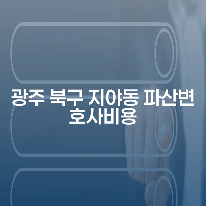 광주 북구 지야동 파산변호사비용, 개인회생으로 새로운 시작을 할 수 있을까요?