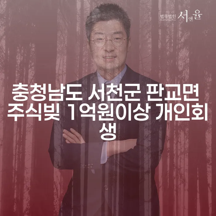 충청남도 서천군 판교면에서 주식빚 1억원 이상, 개인회생과 파산법은 어떻게 활용할 수 있을까요?