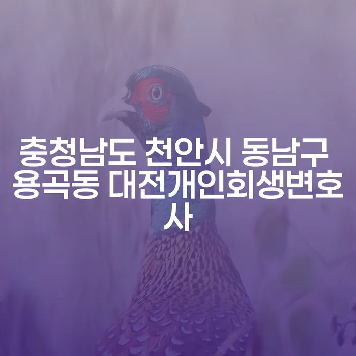 충청남도 천안시 동남구 용곡동에서 대전개인회생변호사를 찾는 이유는?