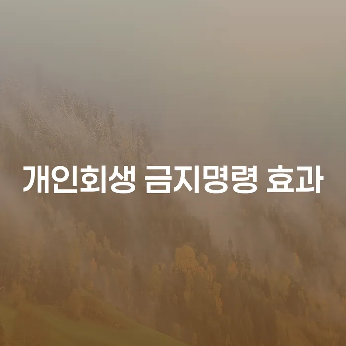 개인회생 금지명령 효과, 채무 해결의 열쇠인가?