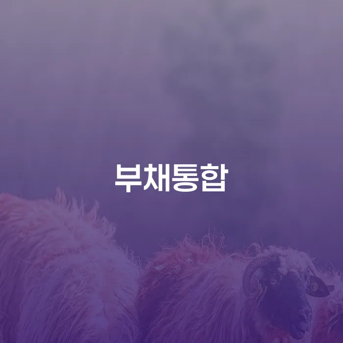 부채통합과 의성군 개인회생사무소, 무엇이 더 나은 선택일까요?